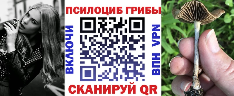 маркетплейс формула  продажа наркотиков  Сорск  Псилоцибиновые грибы прущие грибы 